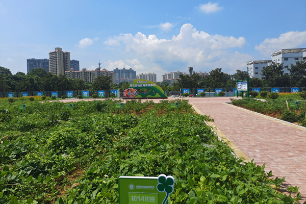 微信图片_20260414151952_1454_120.jpg